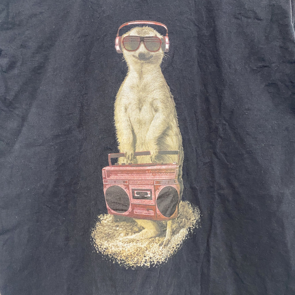 FRUIT OF THE LOOM　フルーツオブザルーム　半袖アニマルTシャツ　ミーヤーキャット　黒　ブラック　14-15サイズ　古着