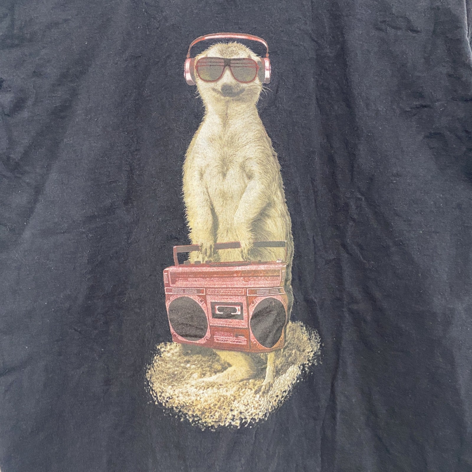 FRUIT OF THE LOOM　フルーツオブザルーム　半袖アニマルTシャツ　ミーヤーキャット　黒　ブラック　14-15サイズ　古着