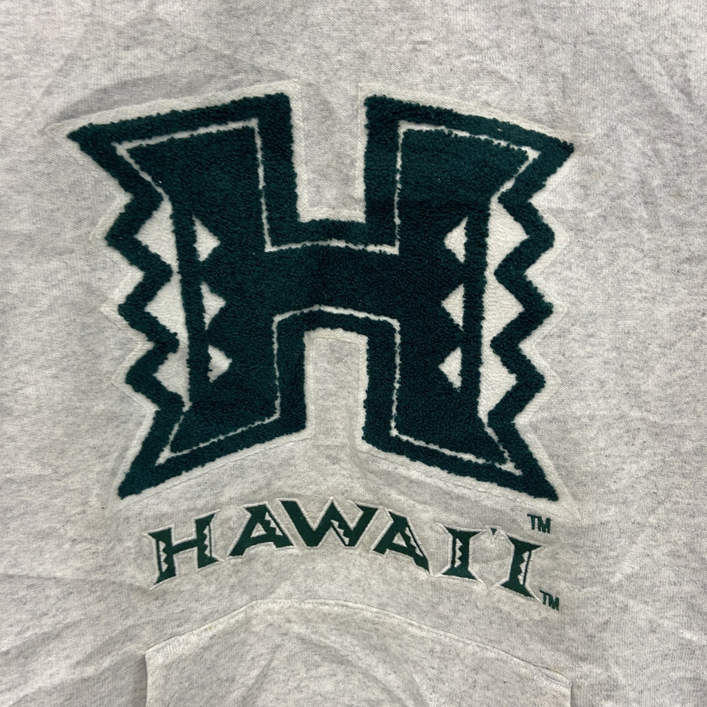 UNIVERSITY OF HAWAI’I　ハワイ大学　スウェットパーカー/フーディー　霜降りグレー　Mサイズ　古着
