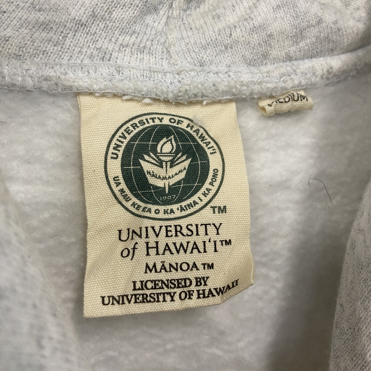 UNIVERSITY OF HAWAI’I　ハワイ大学　スウェットパーカー/フーディー　霜降りグレー　Mサイズ　古着