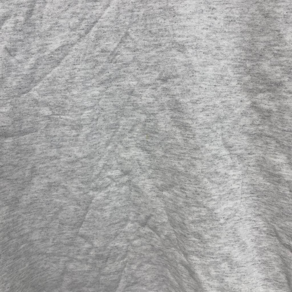 ～00s　anvil　アンヴィル　半袖プリントTシャツ　デカロゴ　ヴィンテージ　霜降りグレー　XLサイズ カットソー メンズ コットン 古着