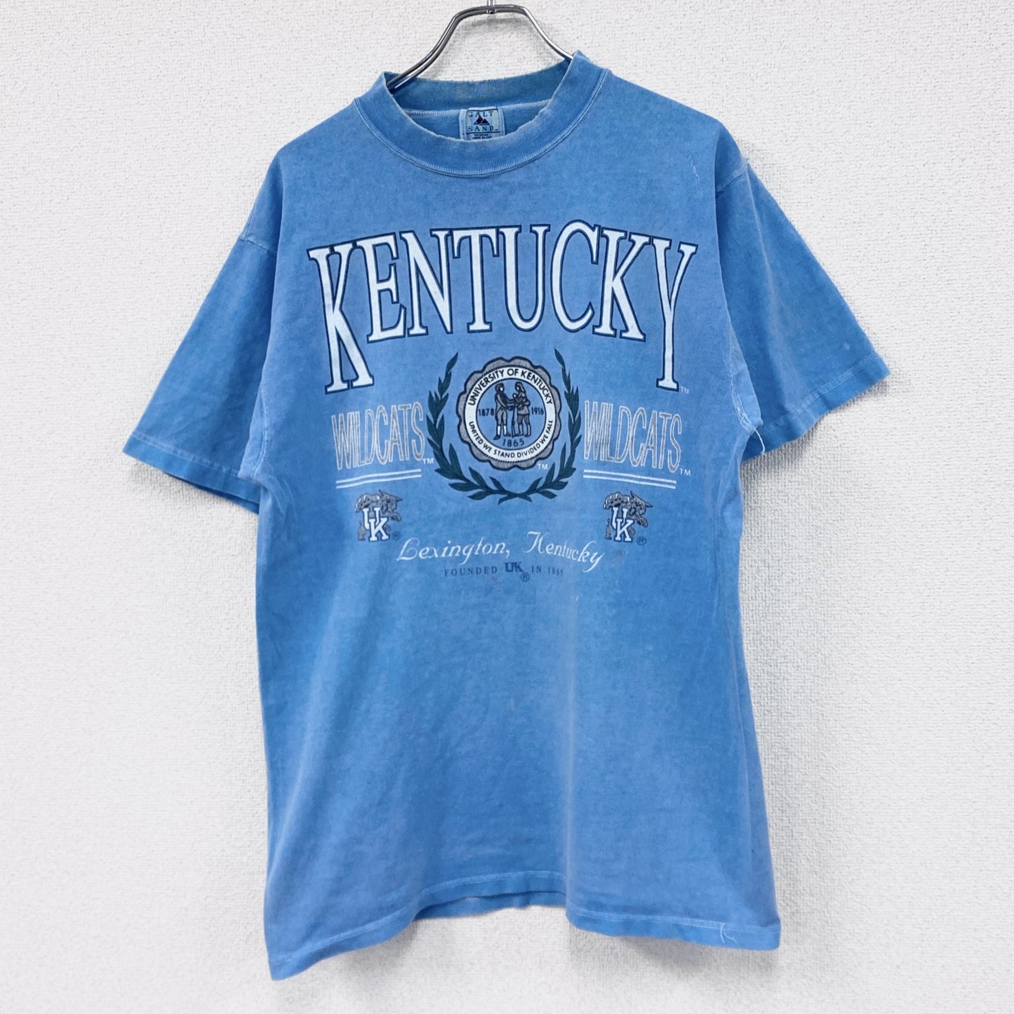 ～00s　GALT SAND　半袖プリントTシャツ　ヴィンテージ　青　ブルー　Mサイズ