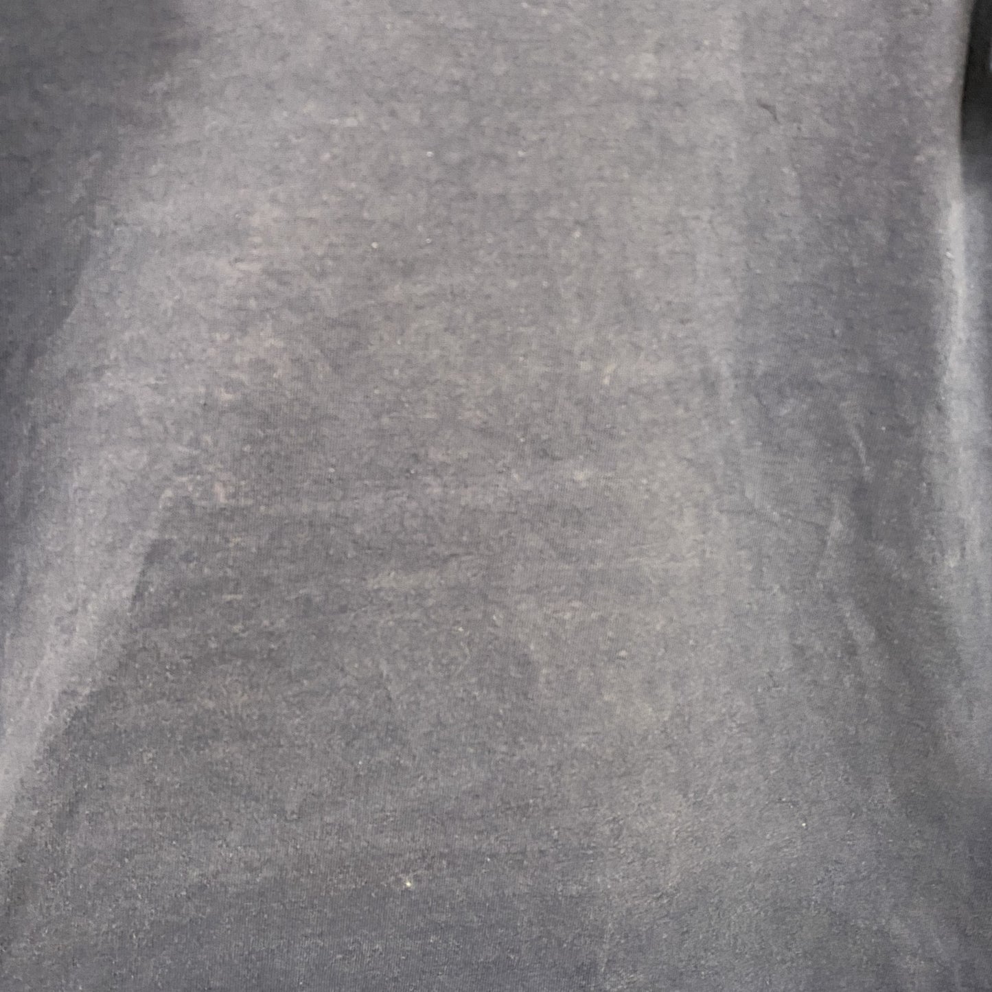 FRUIT OF THE LOOM　フルーツオブザルーム　半袖プリントTシャツ　紺　ネイビー　Lサイズ