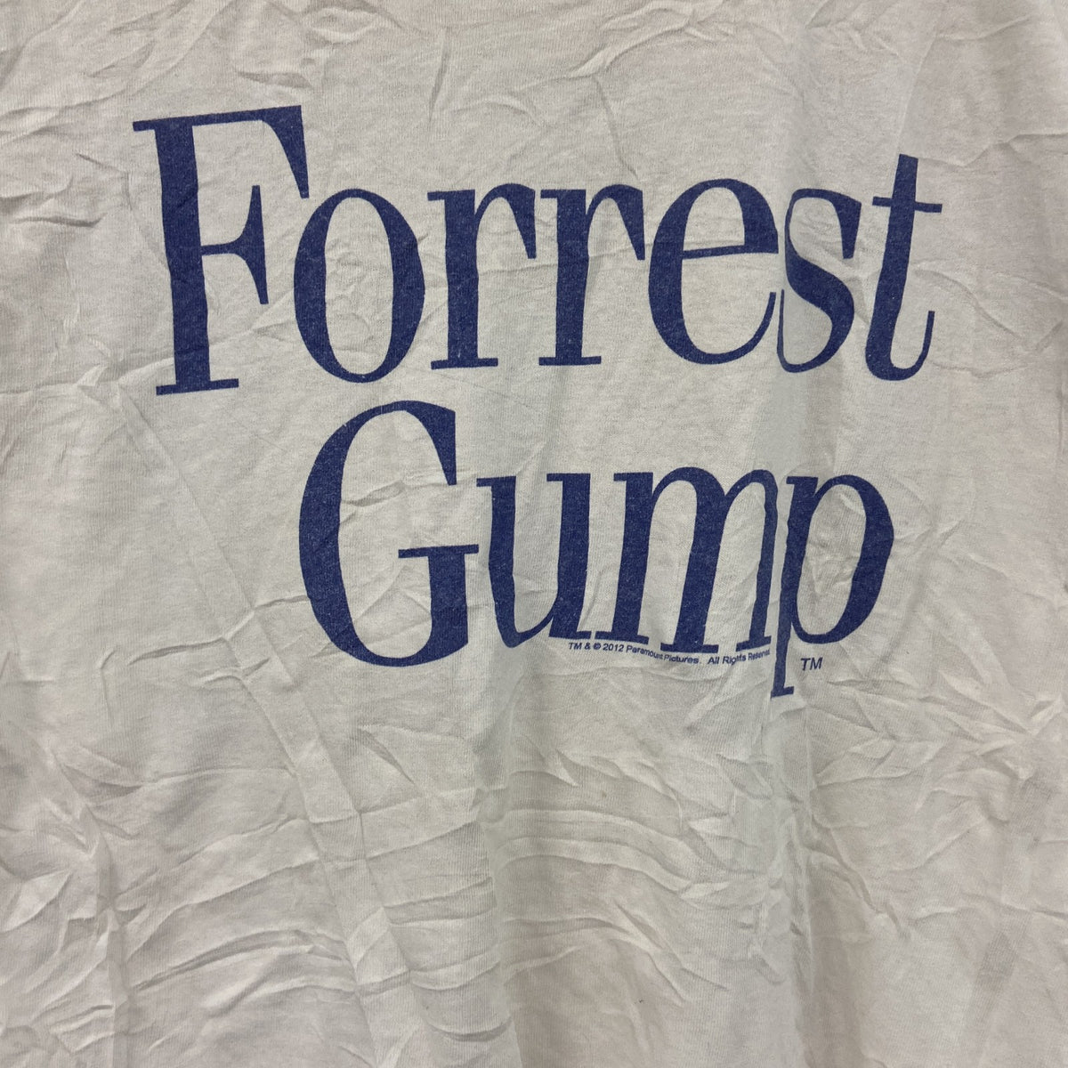 GILDAN　ギルダン　半袖プリントTシャツ　白　ホワイト　Sサイズ カットソー メンズ コットン 古着