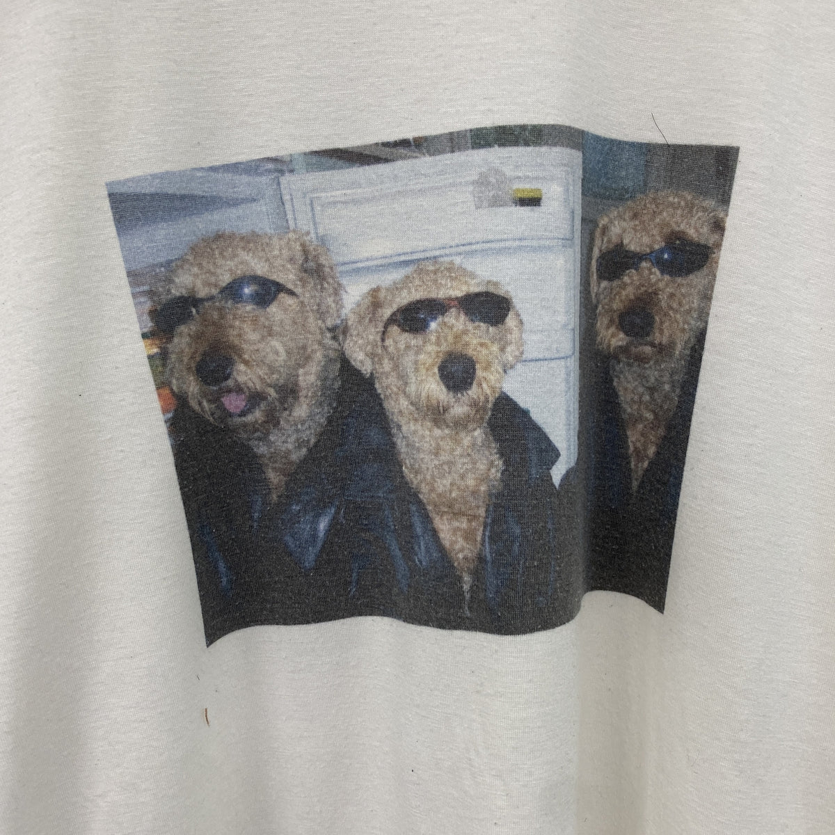 Aoojre　半袖プリントTシャツ　白　ホワイト カットソー メンズ コットン 古着