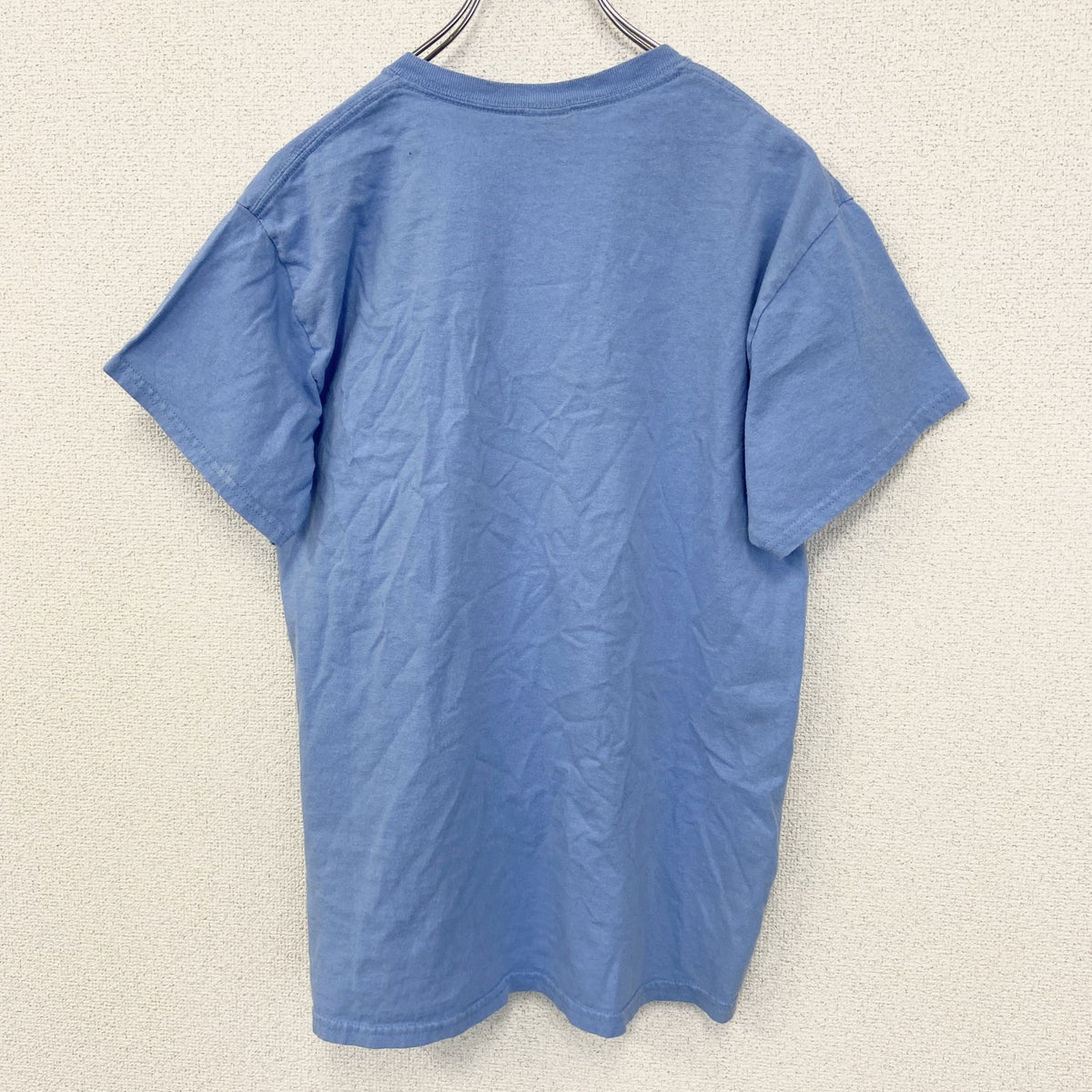 GILDAN ギルダン　半袖プリントデザインTシャツ　フロリダ　クルーネック　レトロ　青　ブルー　Mサイズ　古着