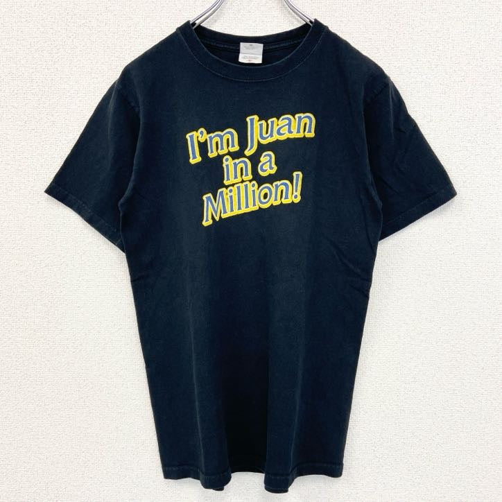 anvil　アンヴィル　半袖プリントTシャツ　BLUE GOOSE　3連プリント　アーチプリント　黒　ブラック　Sサイズ　古着