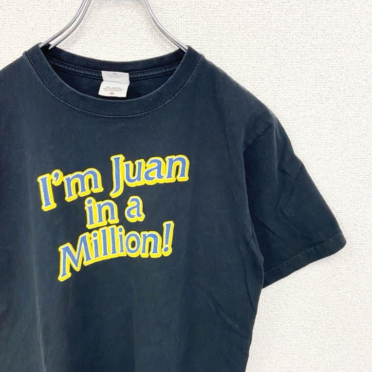 anvil　アンヴィル　半袖プリントTシャツ　BLUE GOOSE　3連プリント　アーチプリント　黒　ブラック　Sサイズ　古着