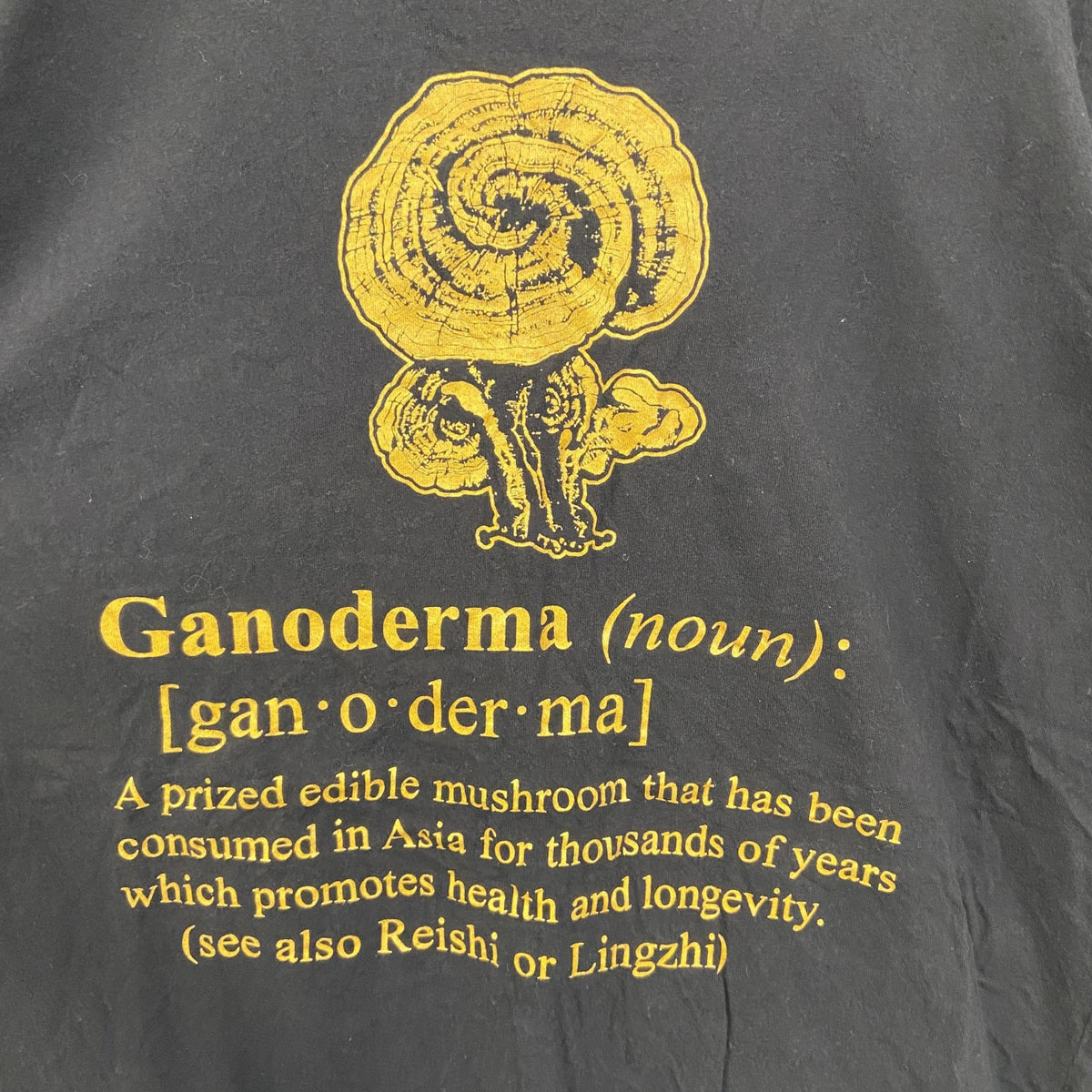 ORGANO　半袖デザインプリントTシャツ　レイシ　キノコ　6連プリント　クルーネック　黒　ブラック　古着