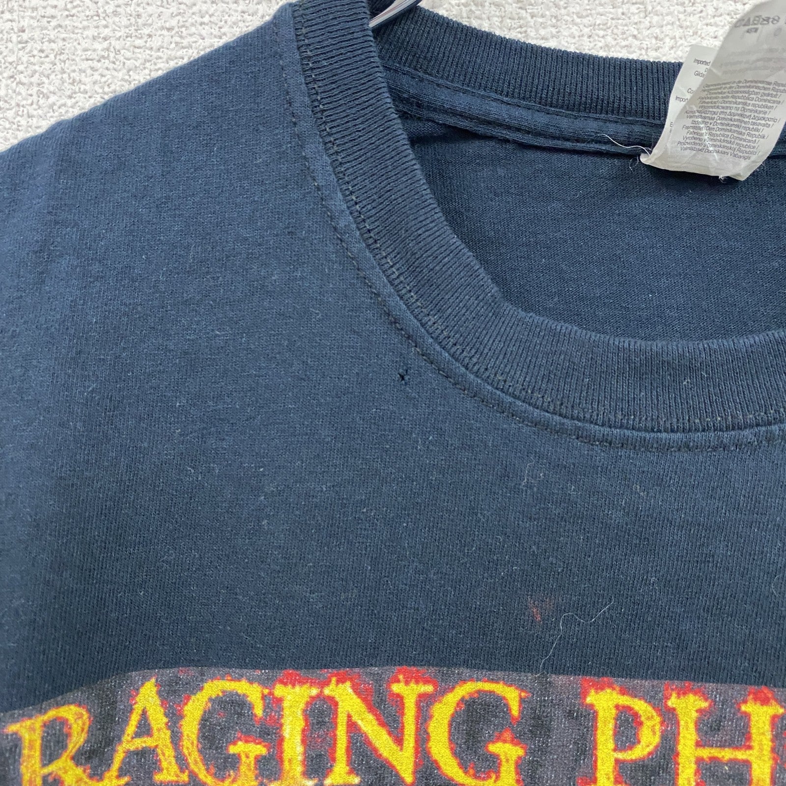 GILDAN　ギルダン　RAGING PHOENIX　半袖プリントTシャツ　ムービーT　黒　ブラック　Lサイズ　古着