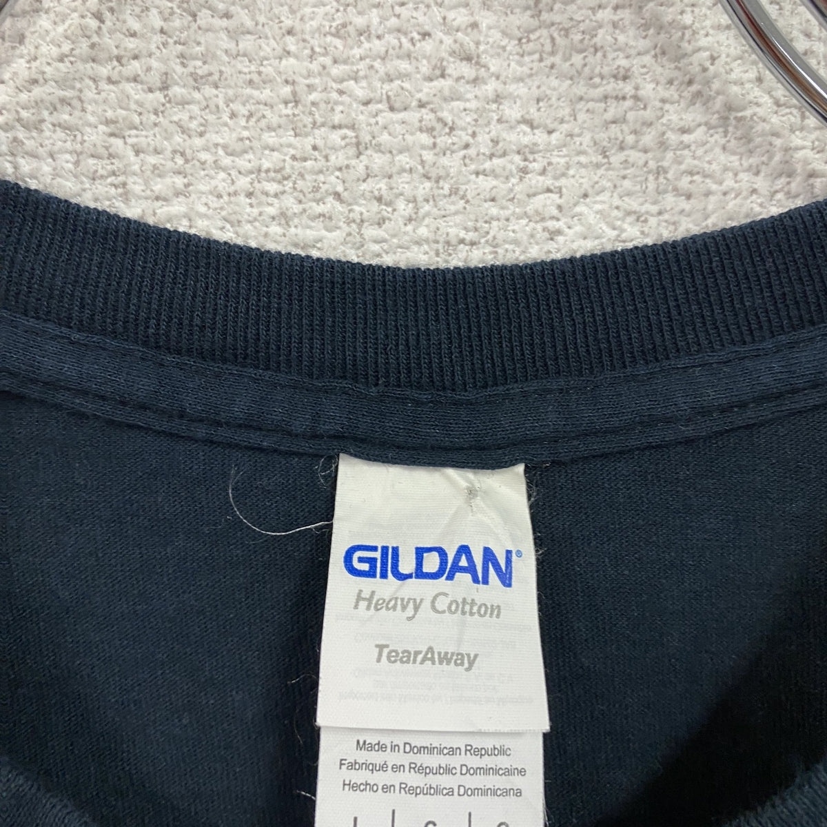 GILDAN　ギルダン　RAGING PHOENIX　半袖プリントTシャツ　ムービーT　黒　ブラック　Lサイズ　古着