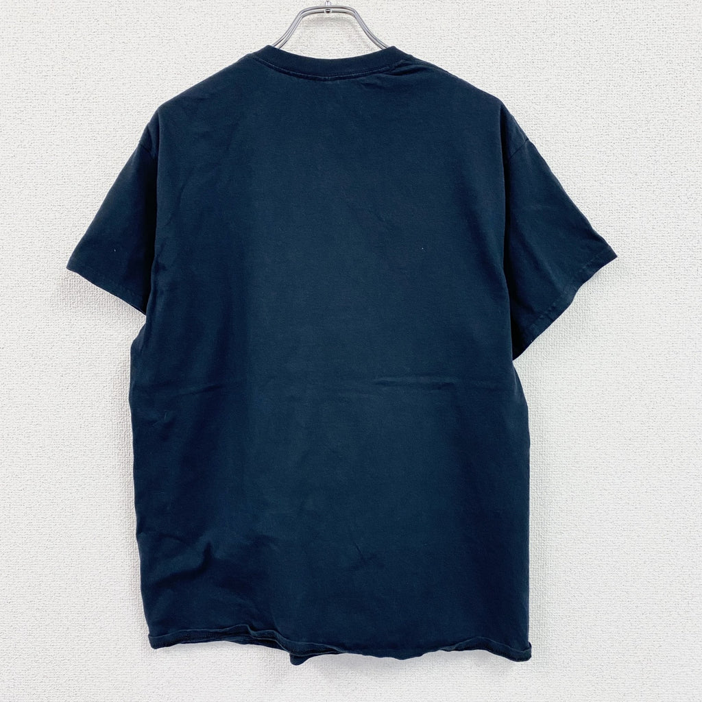 GILDAN　ギルダン　RAGING PHOENIX　半袖プリントTシャツ　ムービーT　黒　ブラック　Lサイズ　古着