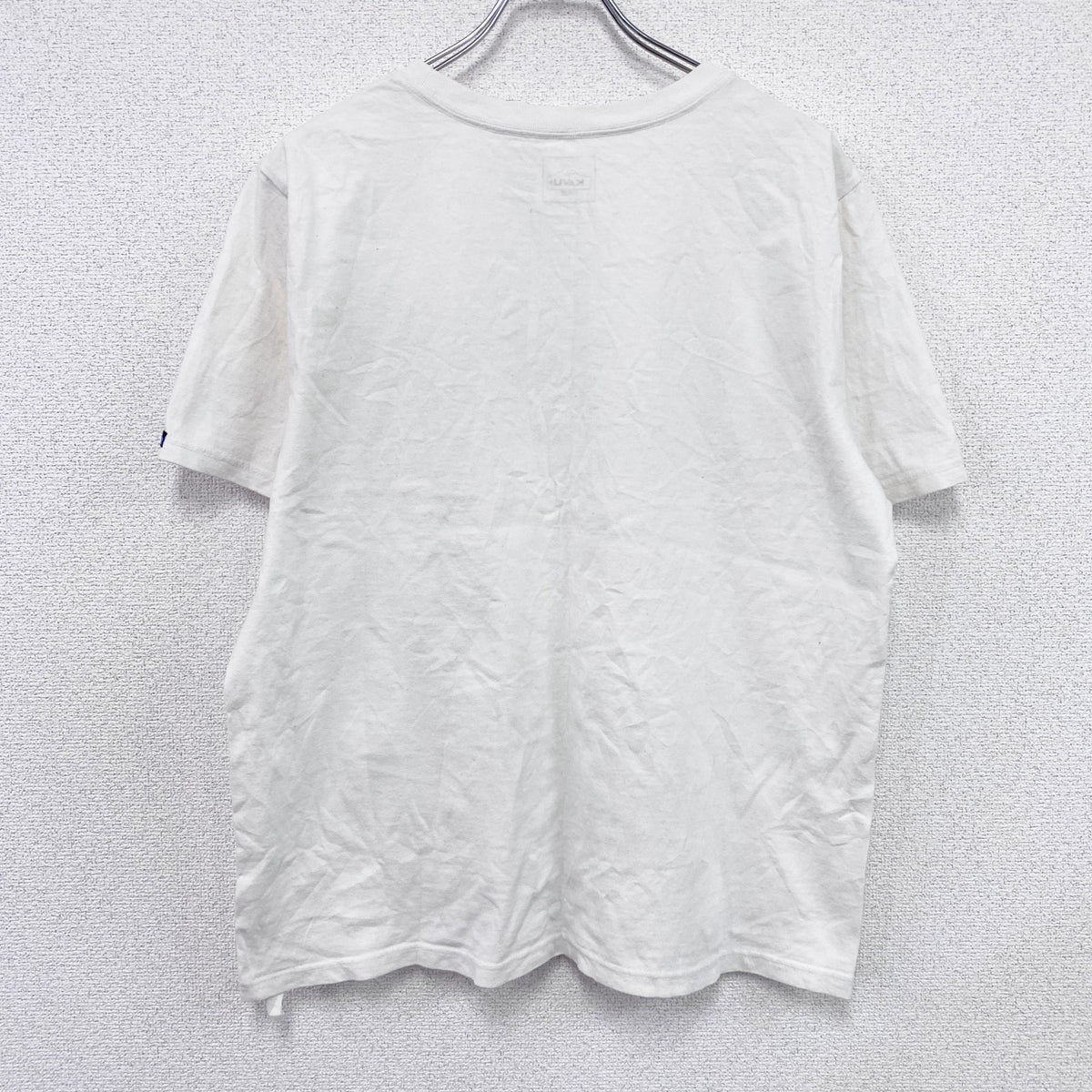 KAVU　カブー　半袖プリントTシャツ　バックトゥネイチャー　白　ホワイト　Lサイズ　古着