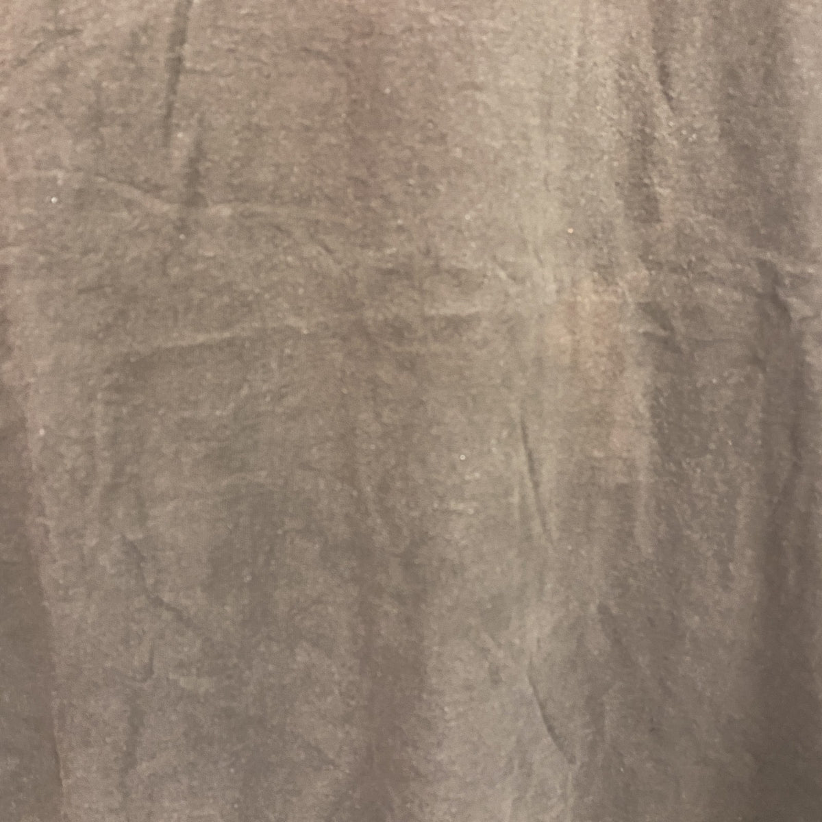 00s～　XLARGE　エクストララージ　半袖プリントTシャツ　茶色　ブラウン　Lサイズ　