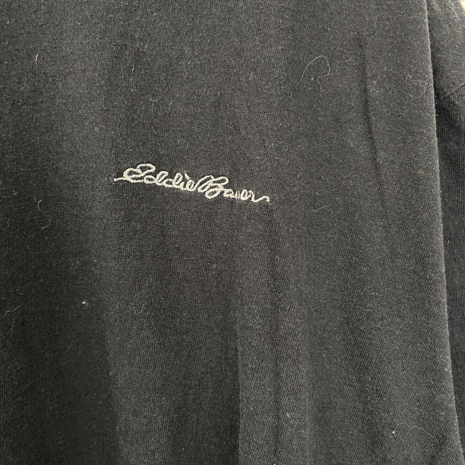Eddie Bauer　半袖ビッグプリントTシャツ　ワンポイント　クルーネック　カジュアルデザイン　黒　ブラック　Lサイズ　古着