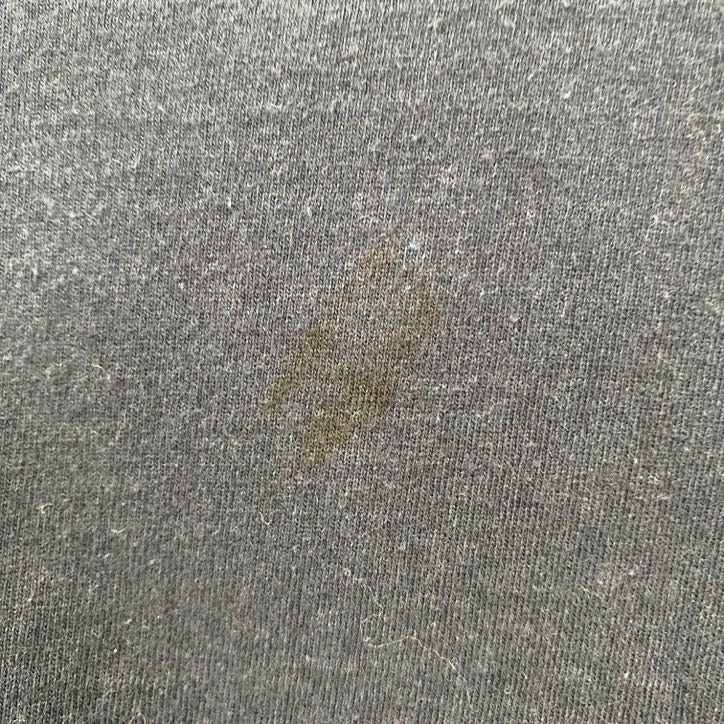 FRUIT OF THE LOOM　フルーツオブザルーム　半袖Tシャツ　両面プリント　12連プリント　黒　ブラック　Lサイズ　古着