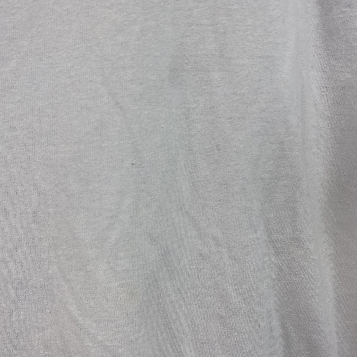 Patagonia　パタゴニア　半袖プリントTシャツ　デカロゴ　ロゴプリント　両面プリント　水色　ライトブルー　Mサイズ　古着