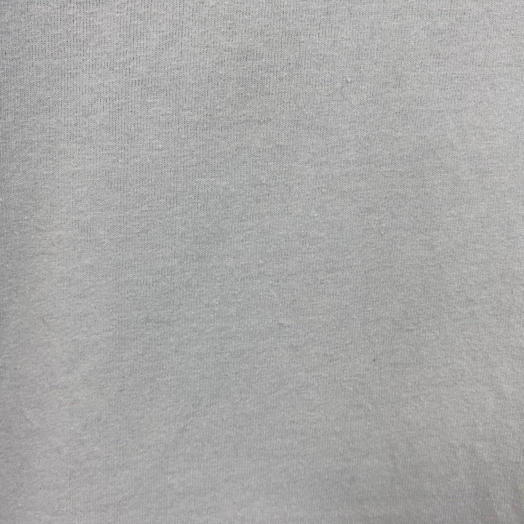 Patagonia　パタゴニア　半袖プリントTシャツ　デカロゴ　ロゴプリント　両面プリント　水色　ライトブルー　Mサイズ　古着