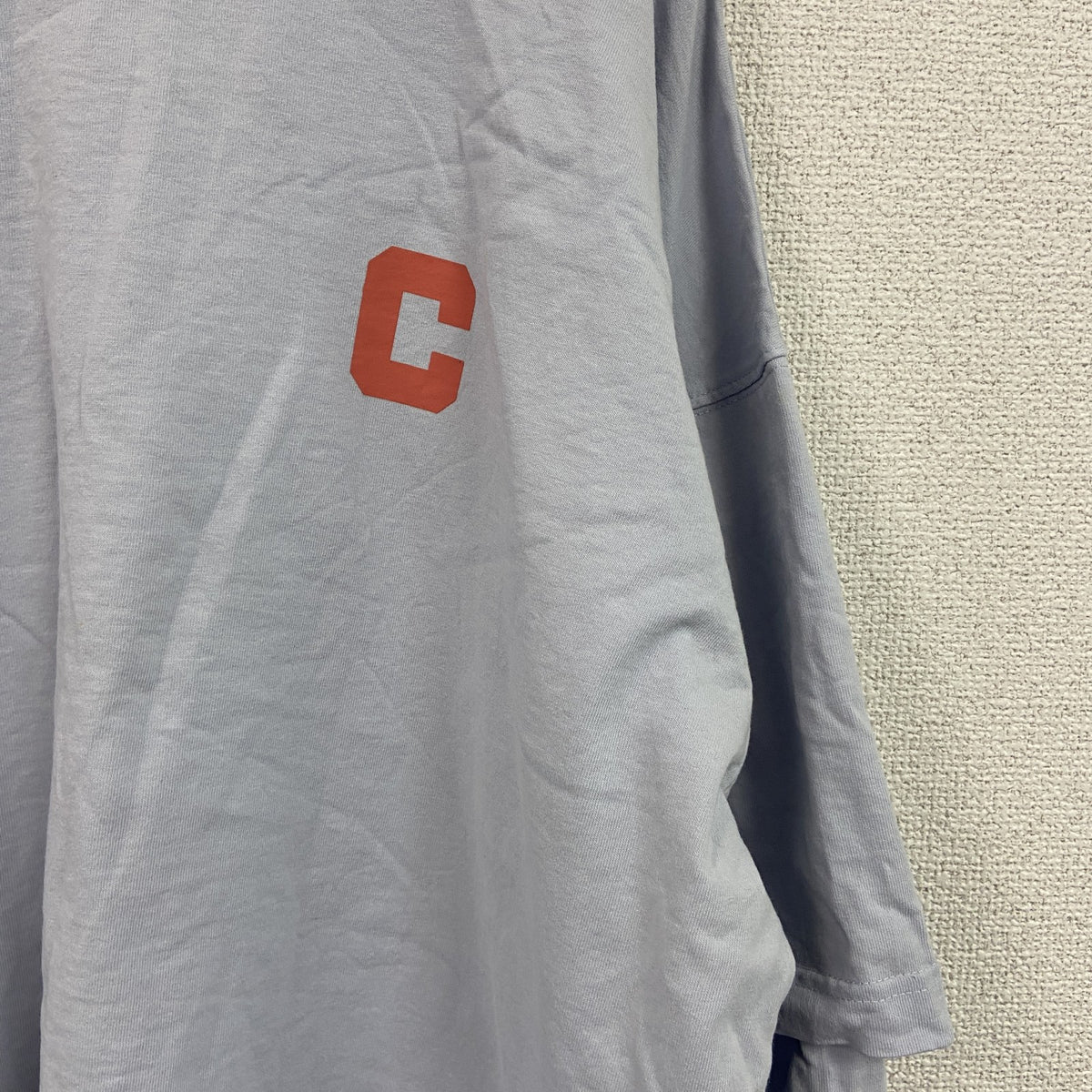 Champion　チャンピオン　長袖プリントTシャツ/ロンT　デカロゴ　刺繍ロゴ　水色　ライトブルー　FREEサイズ　古着