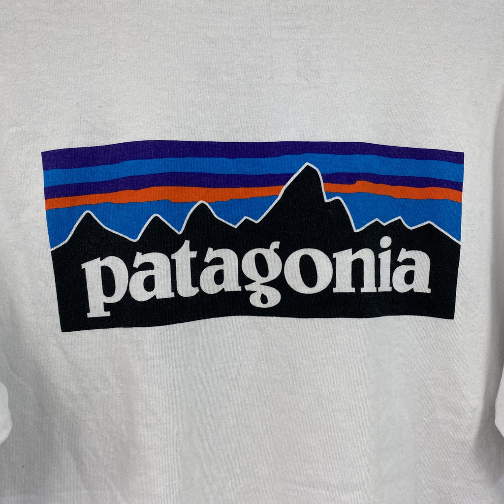 Patagonia　パタゴニア　半袖プリントTシャツ　デカロゴ　ロゴプリント　両面プリント　水色　ライトブルー　Mサイズ　古着