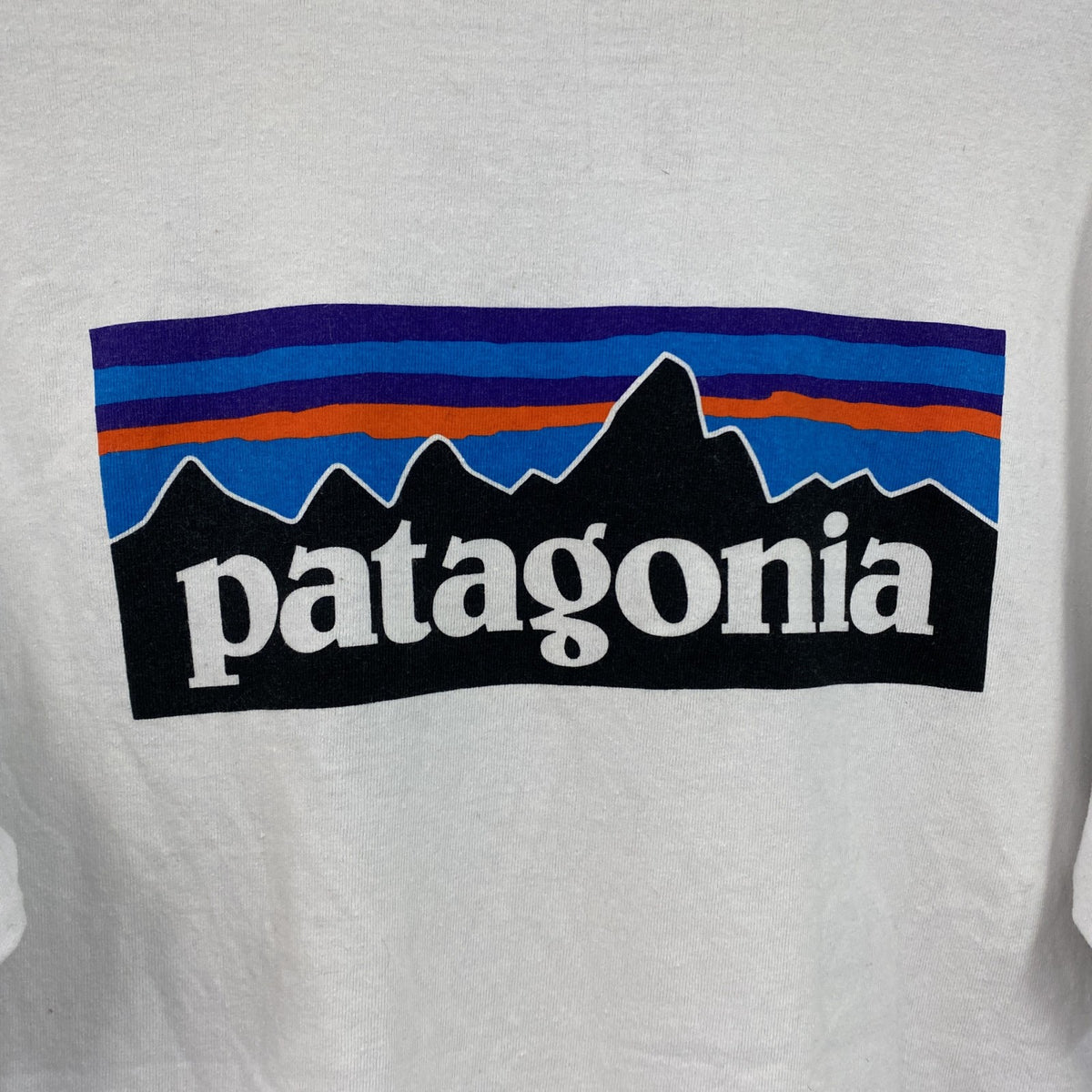 Patagonia　パタゴニア　半袖プリントTシャツ　デカロゴ　ロゴプリント　両面プリント　水色　ライトブルー　Mサイズ　古着