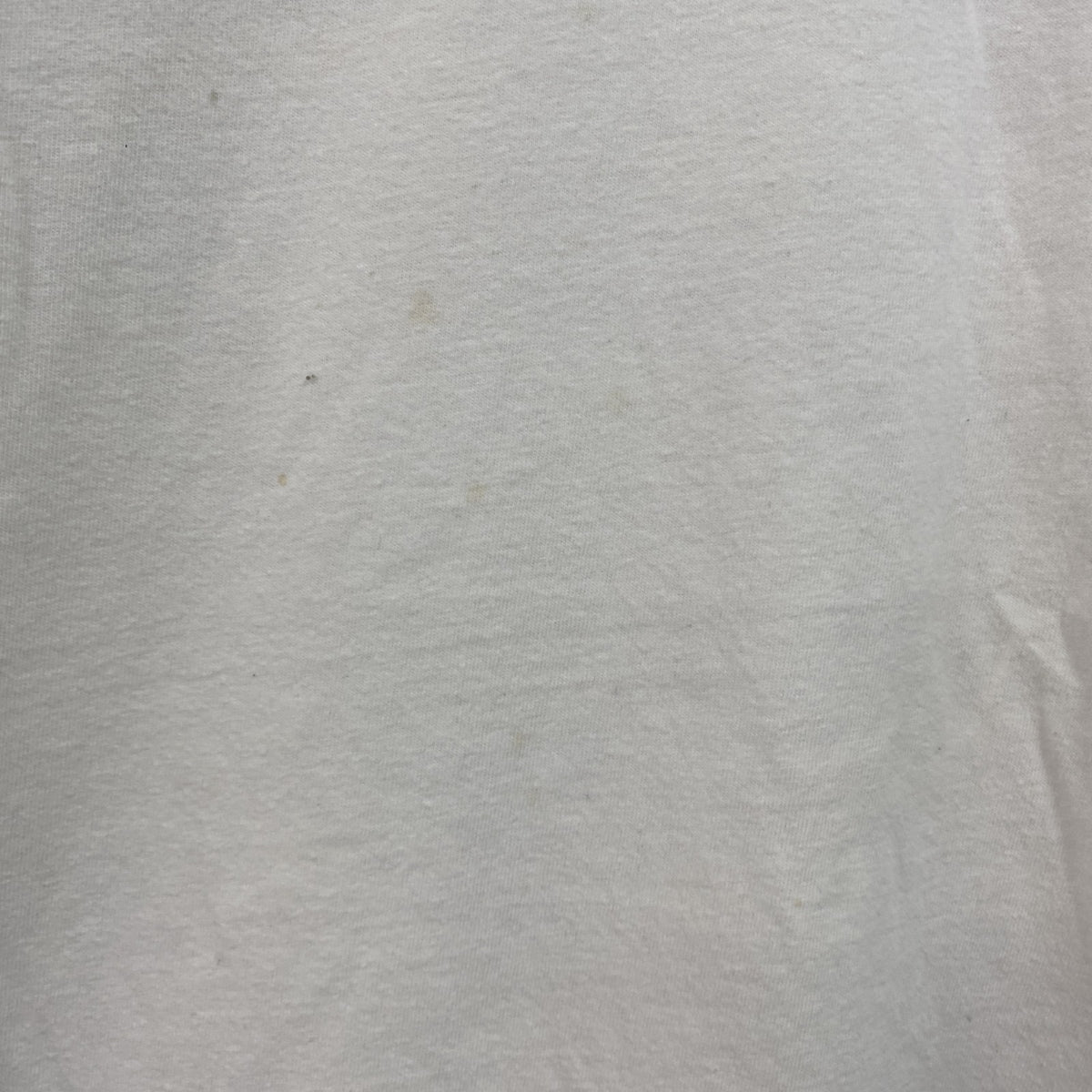 POLO RALPH LAUREN　ラルフローレン　半袖プリントTシャツ　シングルステッチ　刺繍ロゴ　白　ホワイト　Mサイズ　古着