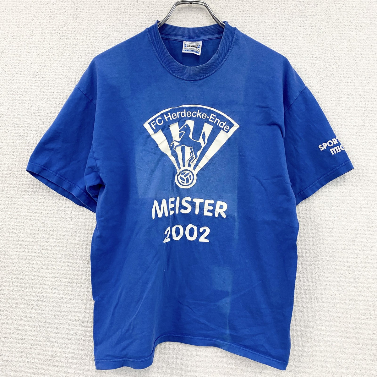 SCREEN STARS　半袖プリントTシャツ　青　ブルー　Lサイズ　古着