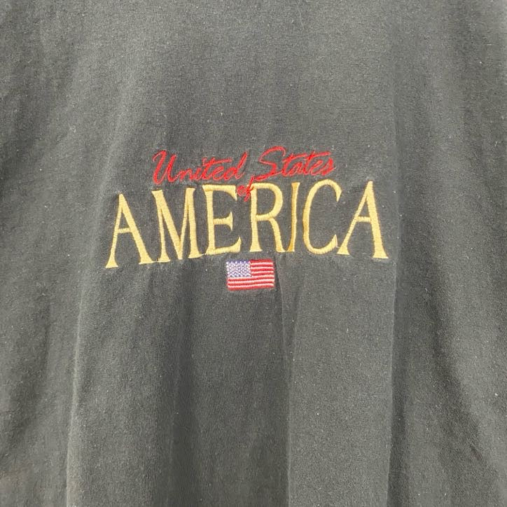 半袖刺繍Tシャツ　AMERICA　アメリカ　星条旗　国旗　クルーネック　レトロデザイン　黒　ブラック　　古着
