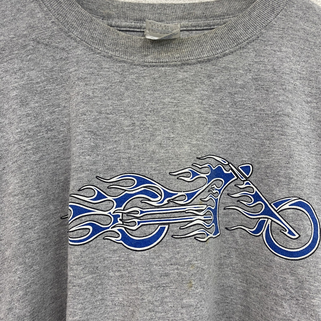 GILDAN　ギルダン　長袖プリントTシャツ/ロンT　袖プリント　灰色　グレー　Lサイズ　古着