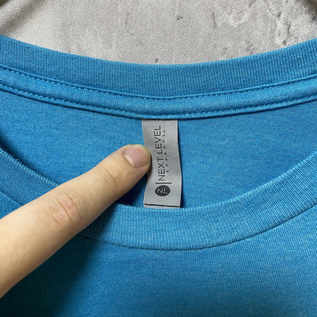 NEXT LEVEL APPAREL 半袖クルーネックプリントTシャツ　水色　ブルー　レトロデザイン　Lサイズ　古着