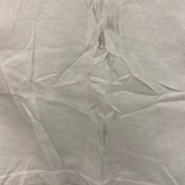 00s～　Old Stussy　オールドステューシー　半袖プリントTシャツ　ヴィンテージ　白　ホワイト　Lサイズ　古着