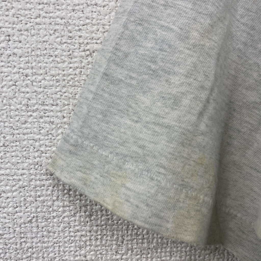 FRUIT OF THE LOOM　フルーツオブザルーム　半袖プリントTシャツ　シングルステッチ　霜降りグレー　XLサイズ カットソー メンズ コットン 古着