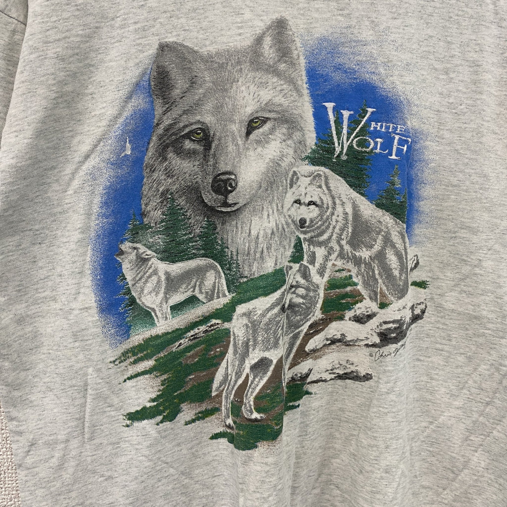 FRUIT OF THE LOOM　フルーツオブザルーム　半袖プリントTシャツ　シングルステッチ　霜降りグレー　Lサイズ カットソー メンズ コットン 古着