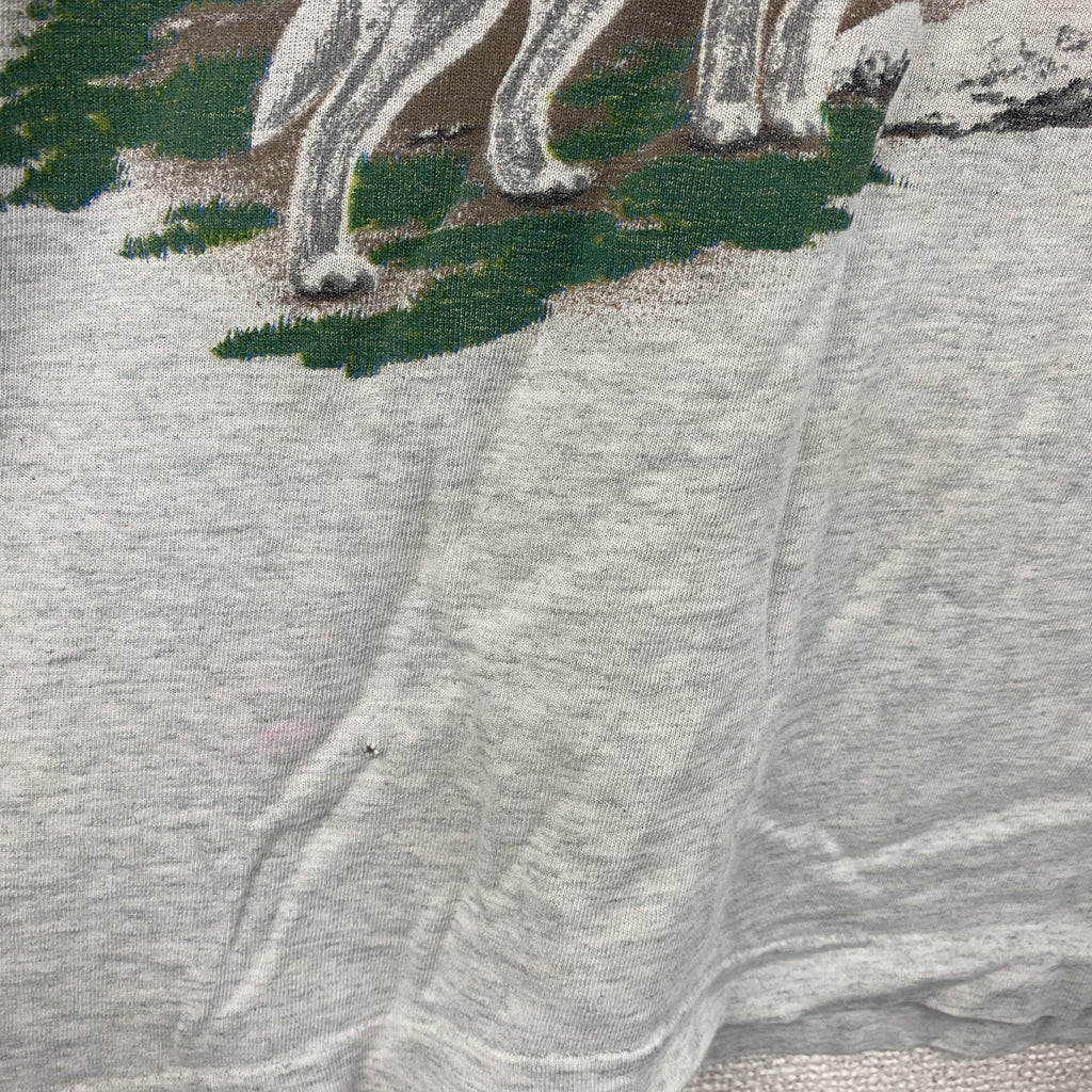FRUIT OF THE LOOM　フルーツオブザルーム　半袖プリントTシャツ　シングルステッチ　霜降りグレー　Lサイズ カットソー メンズ コットン 古着