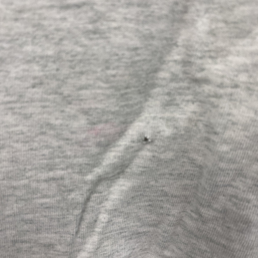 FRUIT OF THE LOOM　フルーツオブザルーム　半袖プリントTシャツ　シングルステッチ　霜降りグレー　Lサイズ カットソー メンズ コットン 古着