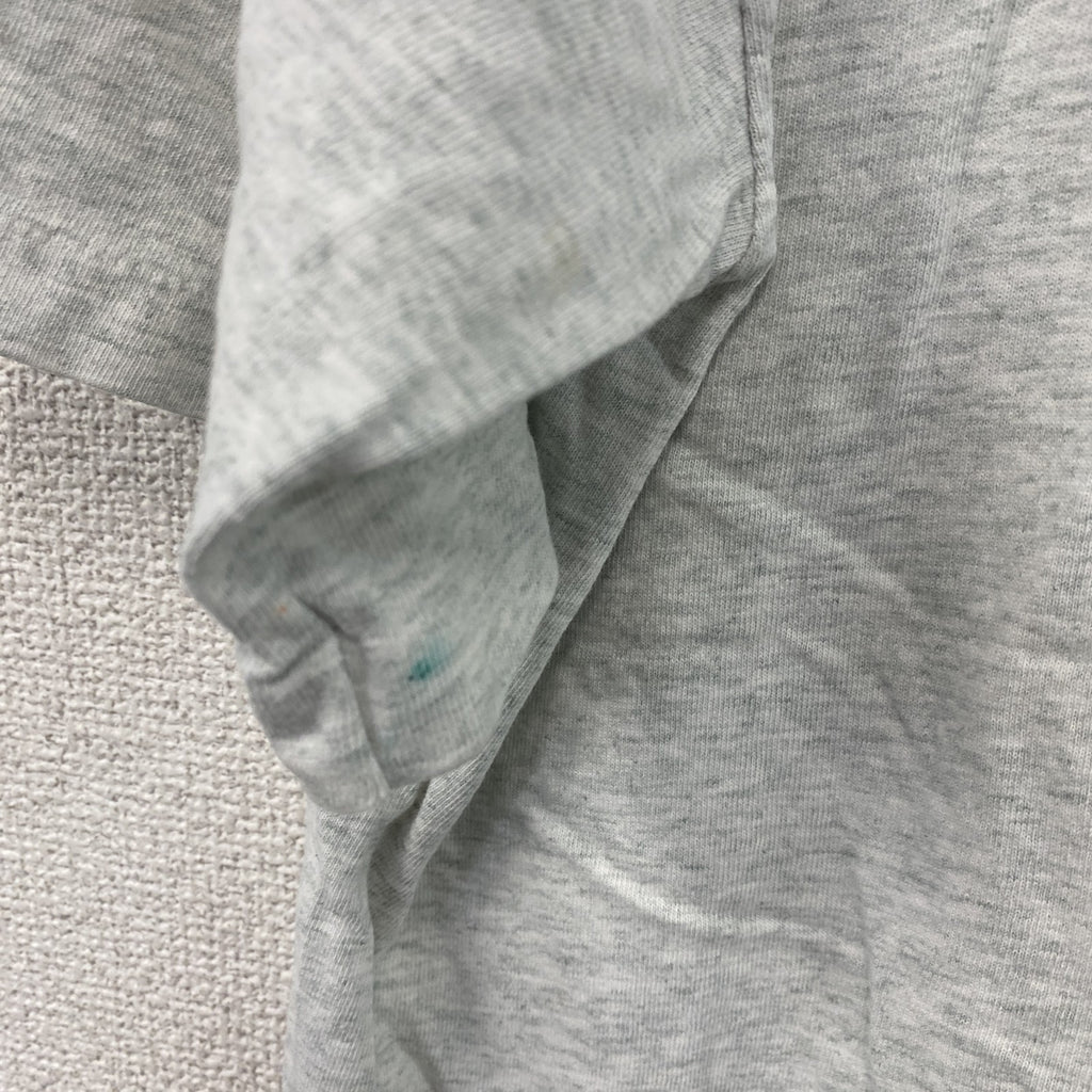 FRUIT OF THE LOOM　フルーツオブザルーム　半袖プリントTシャツ　シングルステッチ　霜降りグレー　Lサイズ カットソー メンズ コットン 古着