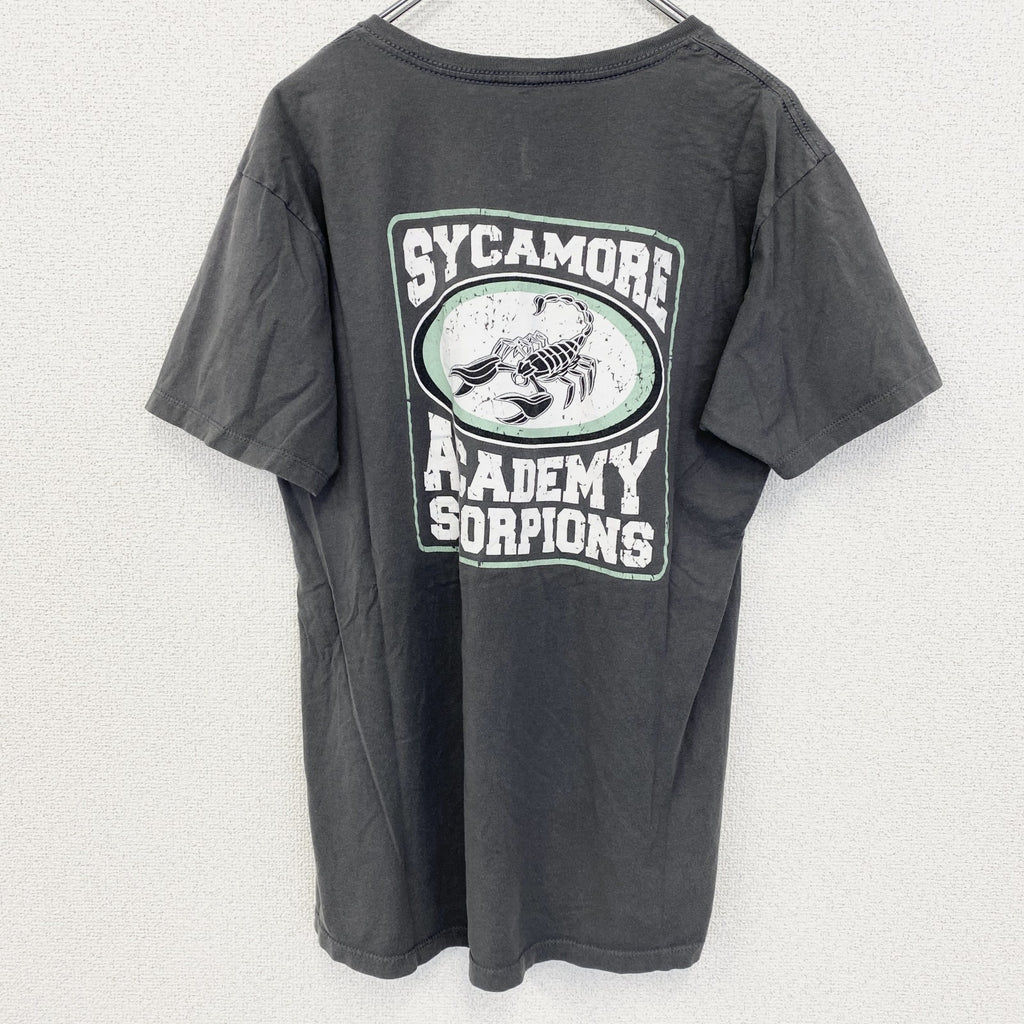 ALSTYlE　アルスタイル　半袖VネッTシャツ　バックプリント　ワンポイント　黒　ブラック　Mサイズ　古着