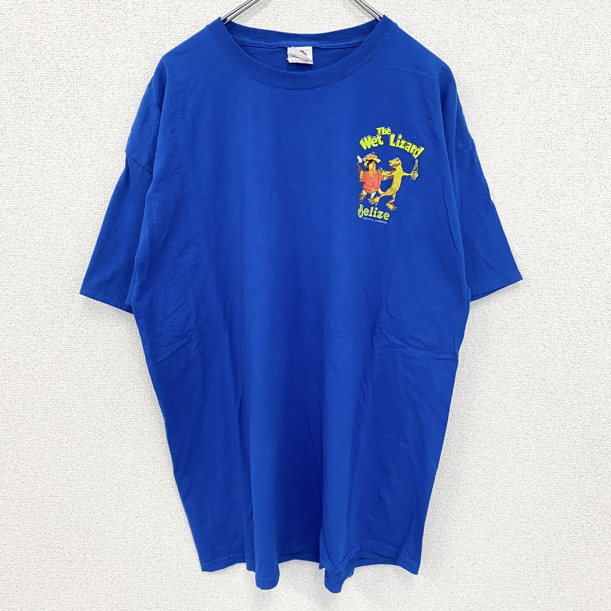 FRUIT OF THE LOOM　半袖アニマルプリントTシャツ　アーチプリント　デカロゴ　両面プリント 　青　ブルー　XLサイズ　古着