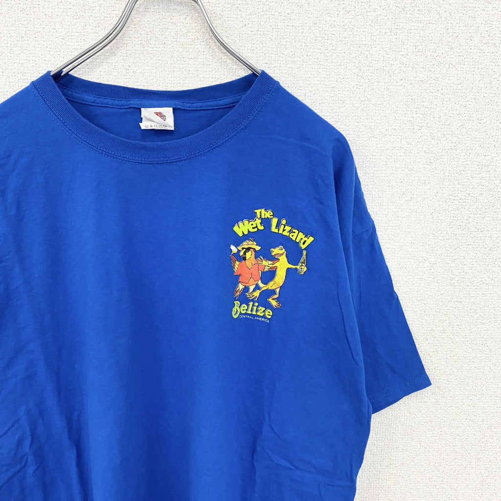 FRUIT OF THE LOOM　半袖アニマルプリントTシャツ　アーチプリント　デカロゴ　両面プリント 　青　ブルー　XLサイズ　古着