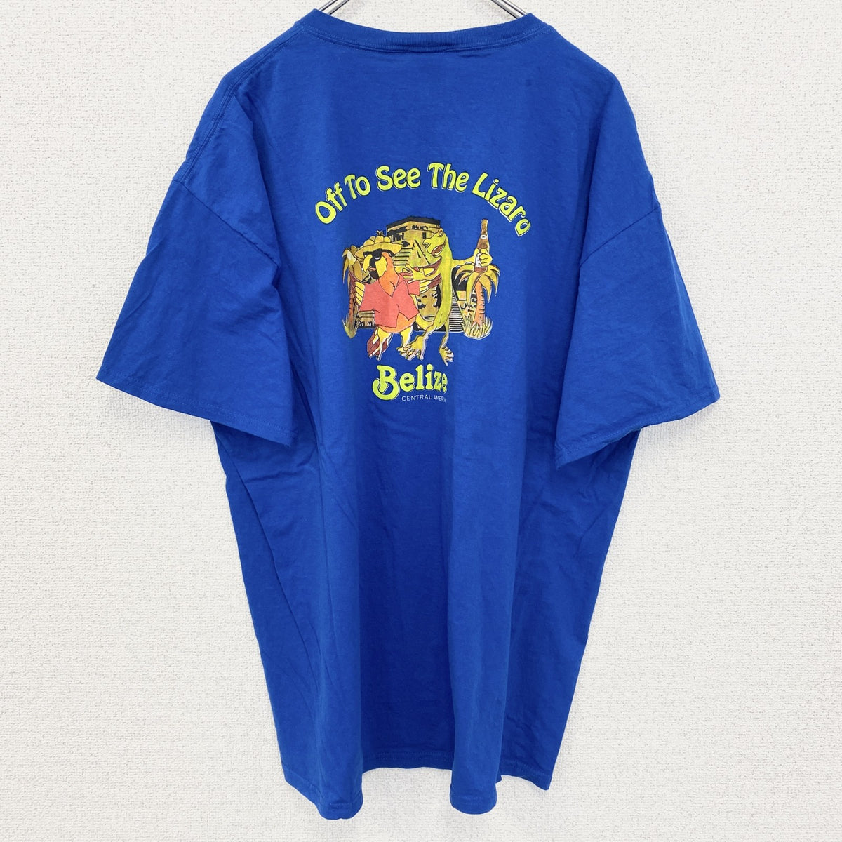 FRUIT OF THE LOOM　半袖アニマルプリントTシャツ　アーチプリント　デカロゴ　両面プリント 　青　ブルー　XLサイズ　古着