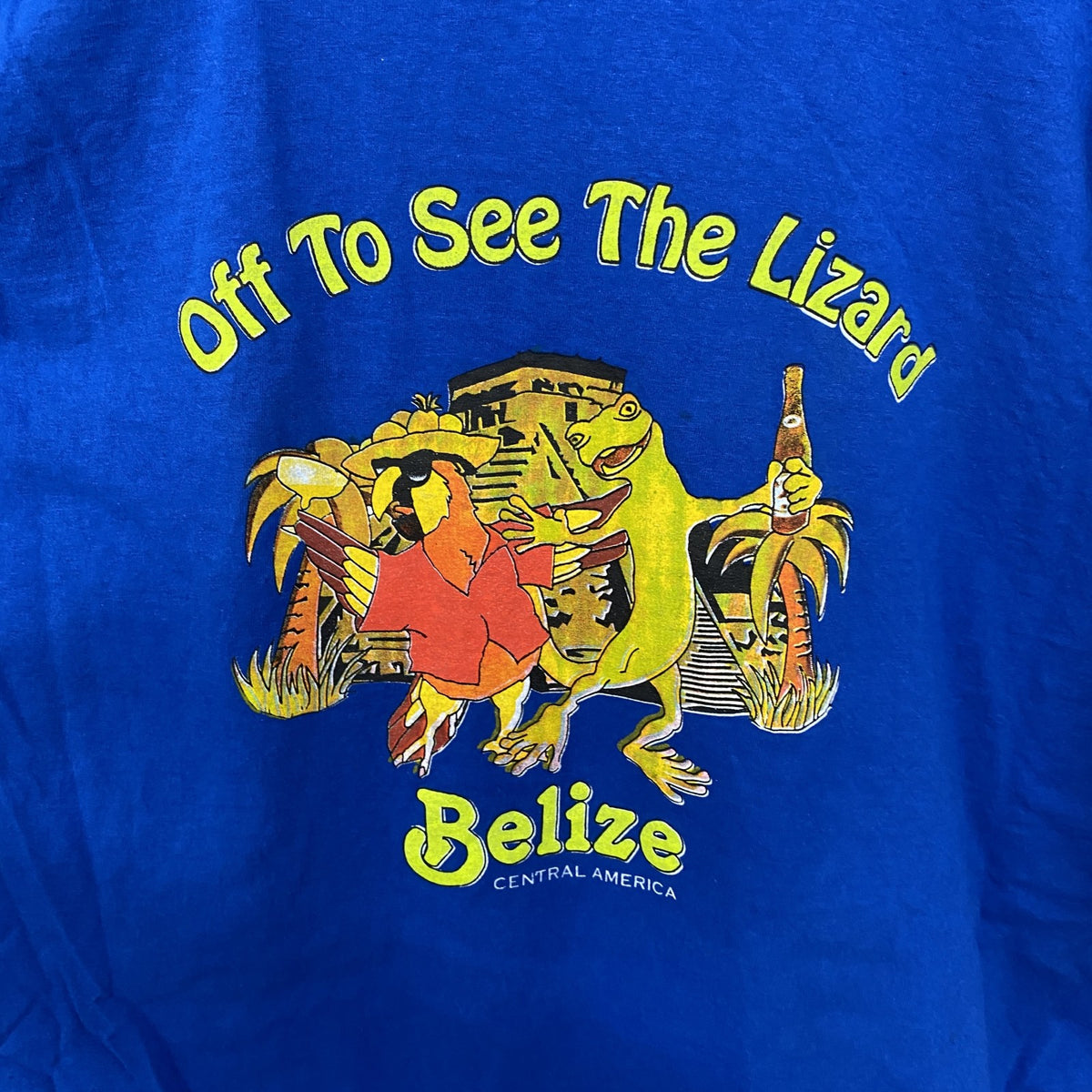 FRUIT OF THE LOOM　半袖アニマルプリントTシャツ　アーチプリント　デカロゴ　両面プリント 　青　ブルー　XLサイズ　古着