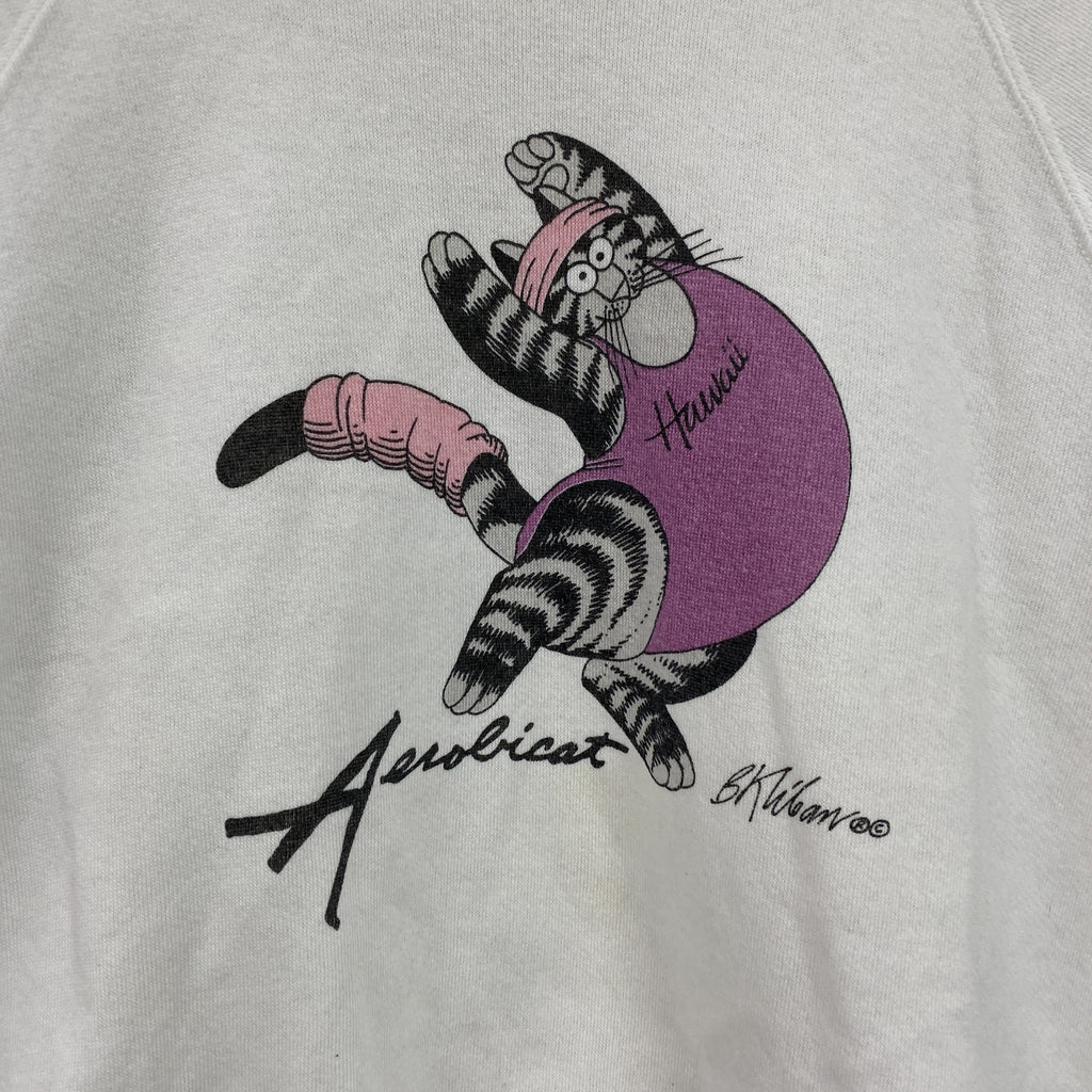 80s～　Crazy Shirts　クレイジーシャツ　スウェット/トレーナー　ラグランスリーブ　ヴィンテージ　白　ホワイト　Mサイズ スウェットトップス メンズ コットン 古着