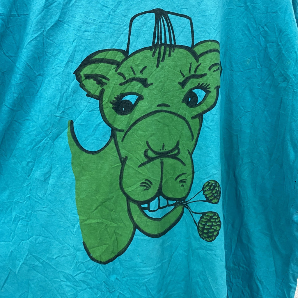 GRATEEFUL TEE　半袖プリントTシャツ　水色　ライトブルー　古着