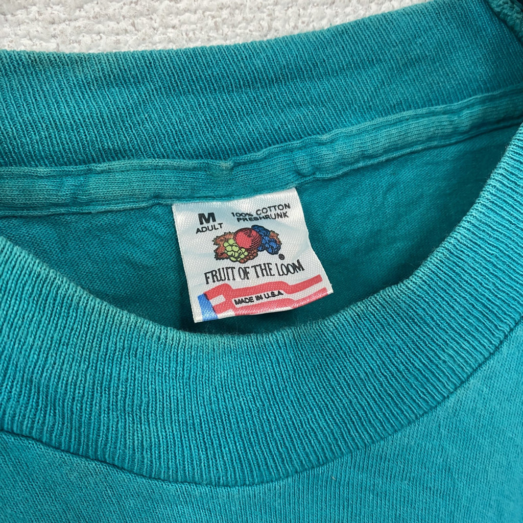 90s　FRUIT OF THE LOOM　フルーツオブザルーム　半袖プリントTシャツ　シングルステッチ　水色　ライトブルー　Mサイズ ヴィンテージ カットソー メンズ コットン 古着