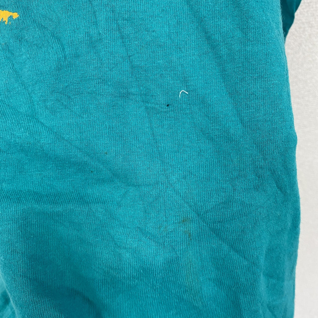 90s　FRUIT OF THE LOOM　フルーツオブザルーム　半袖プリントTシャツ　シングルステッチ　水色　ライトブルー　Mサイズ ヴィンテージ カットソー メンズ コットン 古着