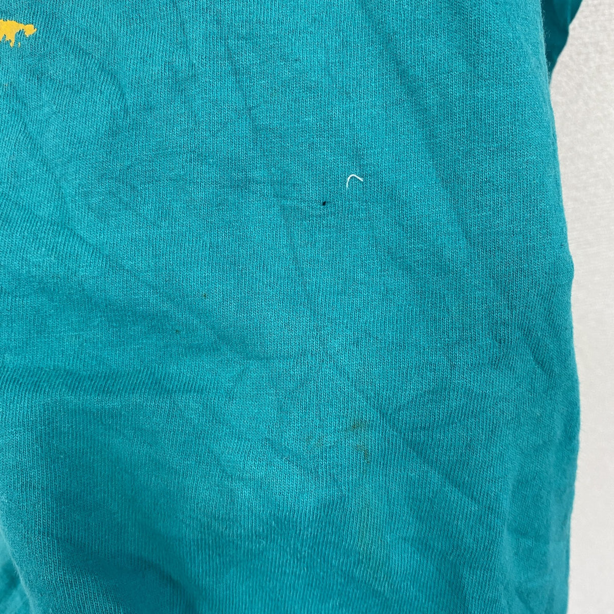 90s　FRUIT OF THE LOOM　フルーツオブザルーム　半袖プリントTシャツ　シングルステッチ　水色　ライトブルー　Mサイズ ヴィンテージ カットソー メンズ コットン 古着