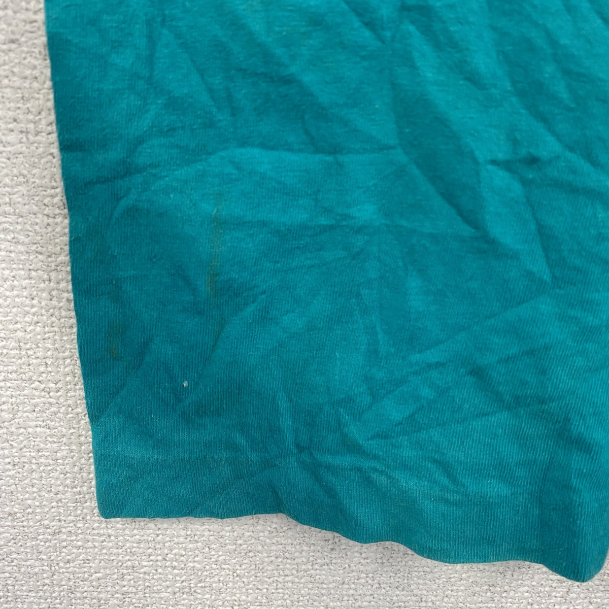 90s　FRUIT OF THE LOOM　フルーツオブザルーム　半袖プリントTシャツ　シングルステッチ　水色　ライトブルー　Mサイズ ヴィンテージ カットソー メンズ コットン 古着