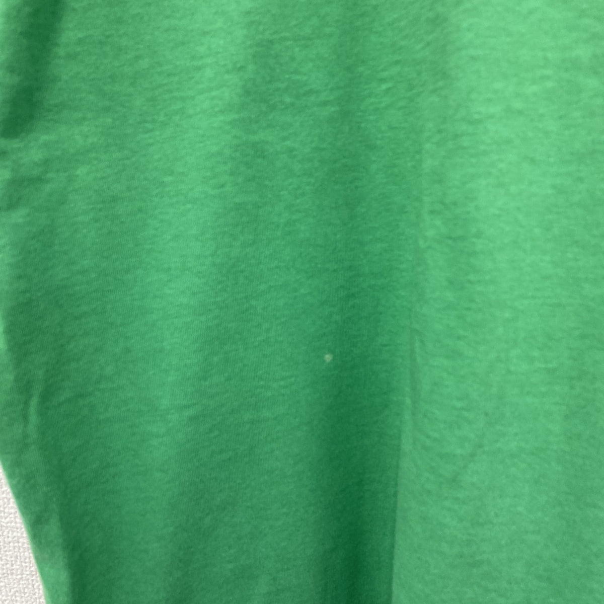 FRUIT OF THE LOOM　フルーツオブザルーム　BEST　半袖プリントTシャツ　ヴィンテージ　シングルステッチ　緑　グリーン　XLサイズ カットソー メンズ コットン 古着