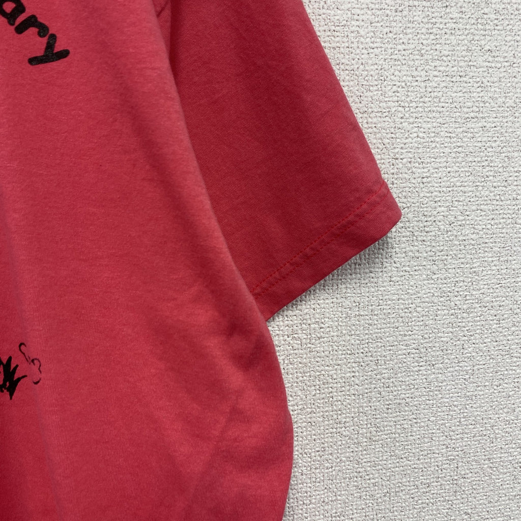 FRUIT OF THE LOOM　フルーツオブザルーム　BEST　半袖プリントTシャツ　ヴィンテージ　シングルステッチ　ピンク　XLサイズ　古着