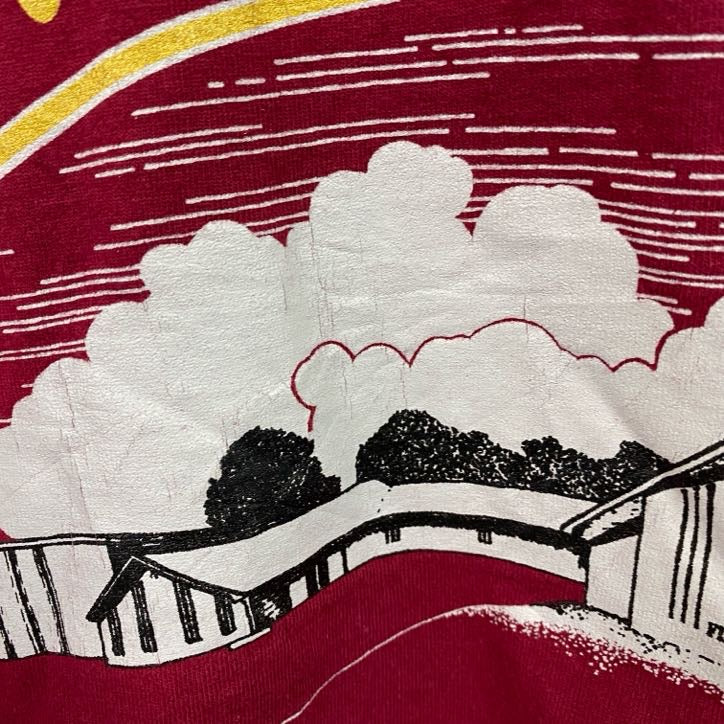 FRUIT OF THE LOOM　半袖プリントTシャツ　シングルステッチ　ヴィンテージ　ボルドー　Mサイズ カットソー メンズ コットン 古着